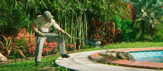 aligator gta 6